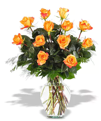 1 DOZEN ORANGE ROSES