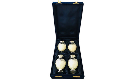 010-C-FS- 4 Mini Silver Mother of Pearl