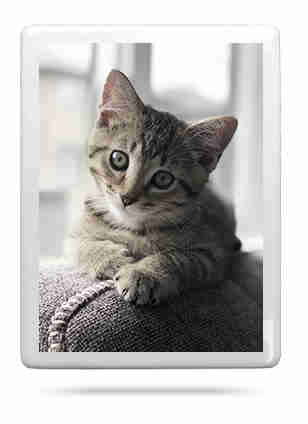 RECTANGLE PHOTO FOR HEADSTONE