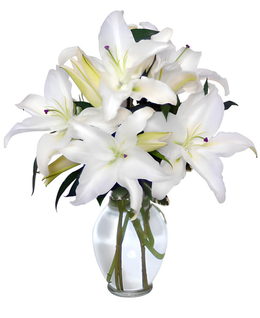 CASA BLANCA LILIES ARRANGEMENT