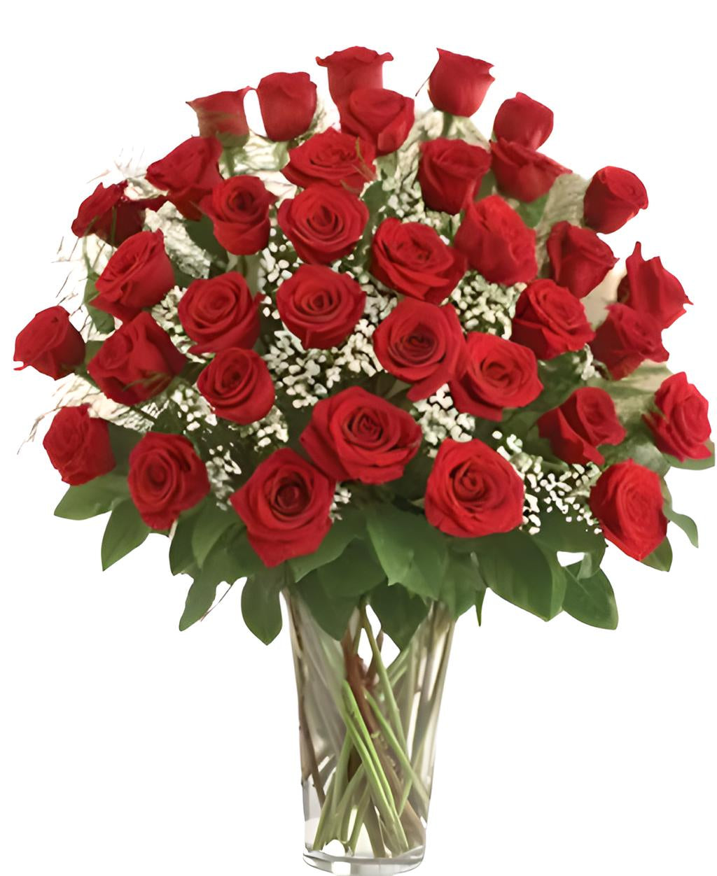 36 RED ROSES WITH BABIES BREATH