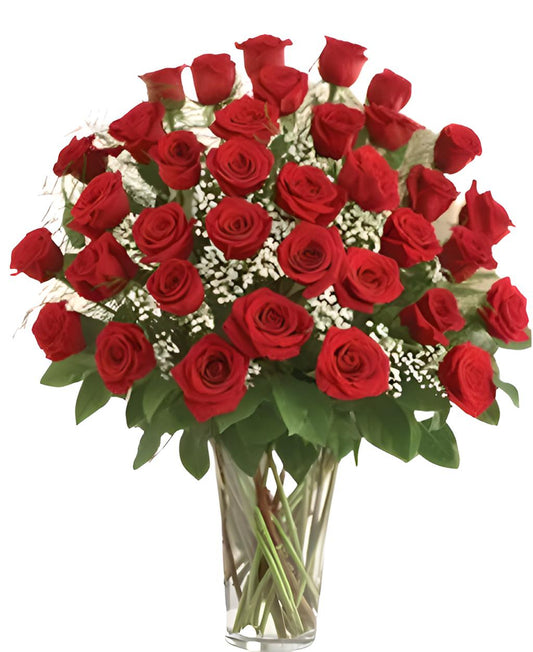 36 RED ROSES WITH BABIES BREATH