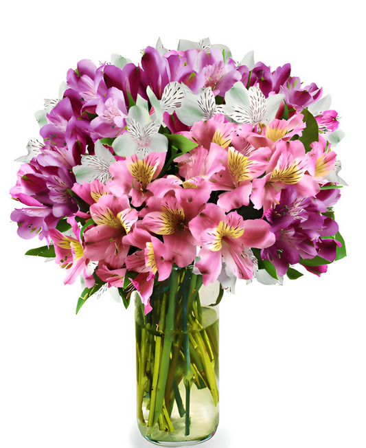 MIXED ALSTROMERIA IN VASE