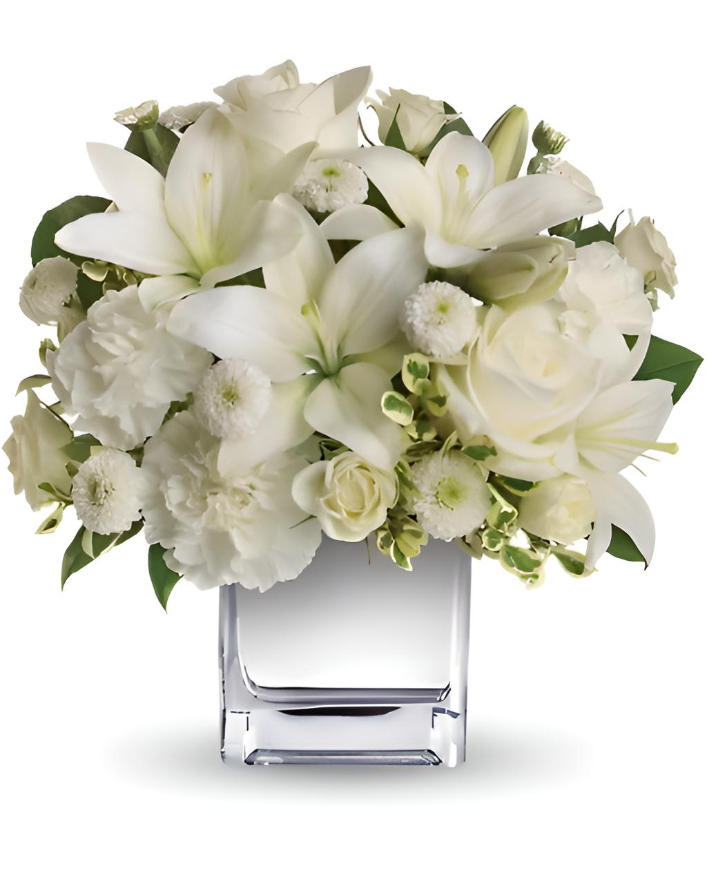 WHITE ELEGANCE